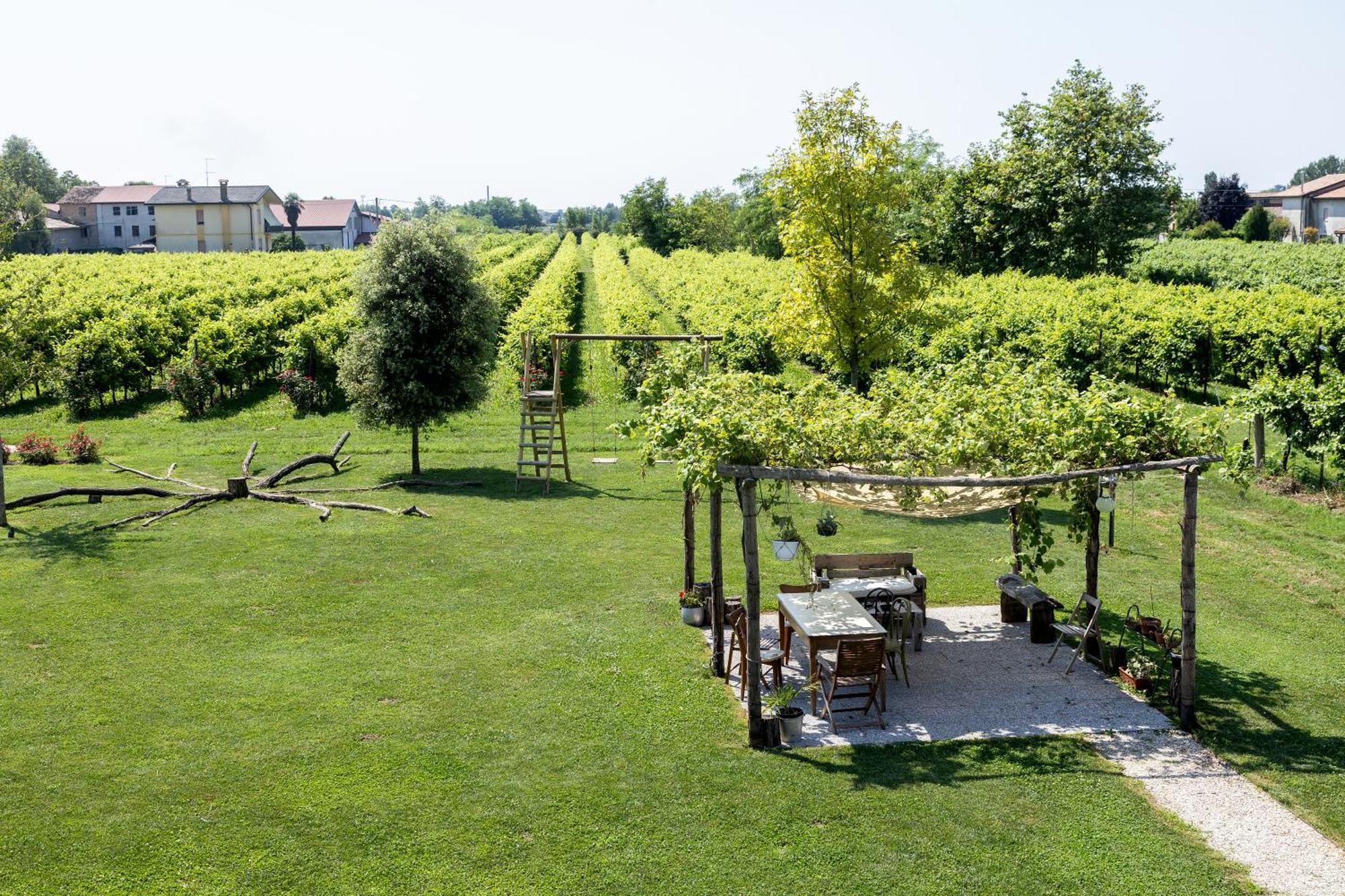 Agriturismo Da Zeffi Spresiano Ngoại thất bức ảnh