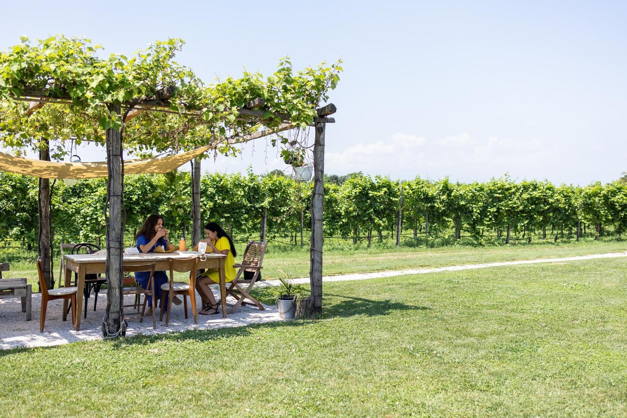 Agriturismo Da Zeffi Spresiano Ngoại thất bức ảnh